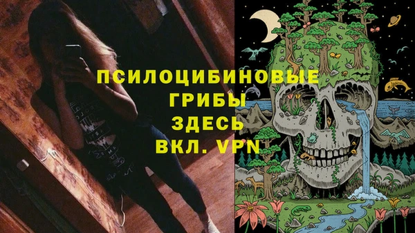 прущие крисы Алексин