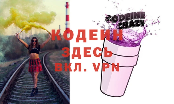 сатива Инта