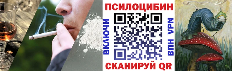 Галлюциногенные грибы прущие грибы Болхов